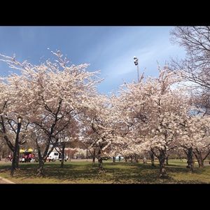 Meet your Posher, Jane